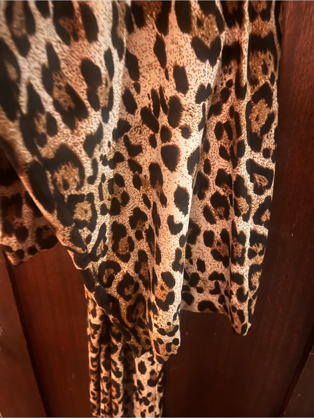 Sleeveless Leopard-Print V-Neck Wide-Leg Jumpsuit - Brown/Black - Picture 3 of 5